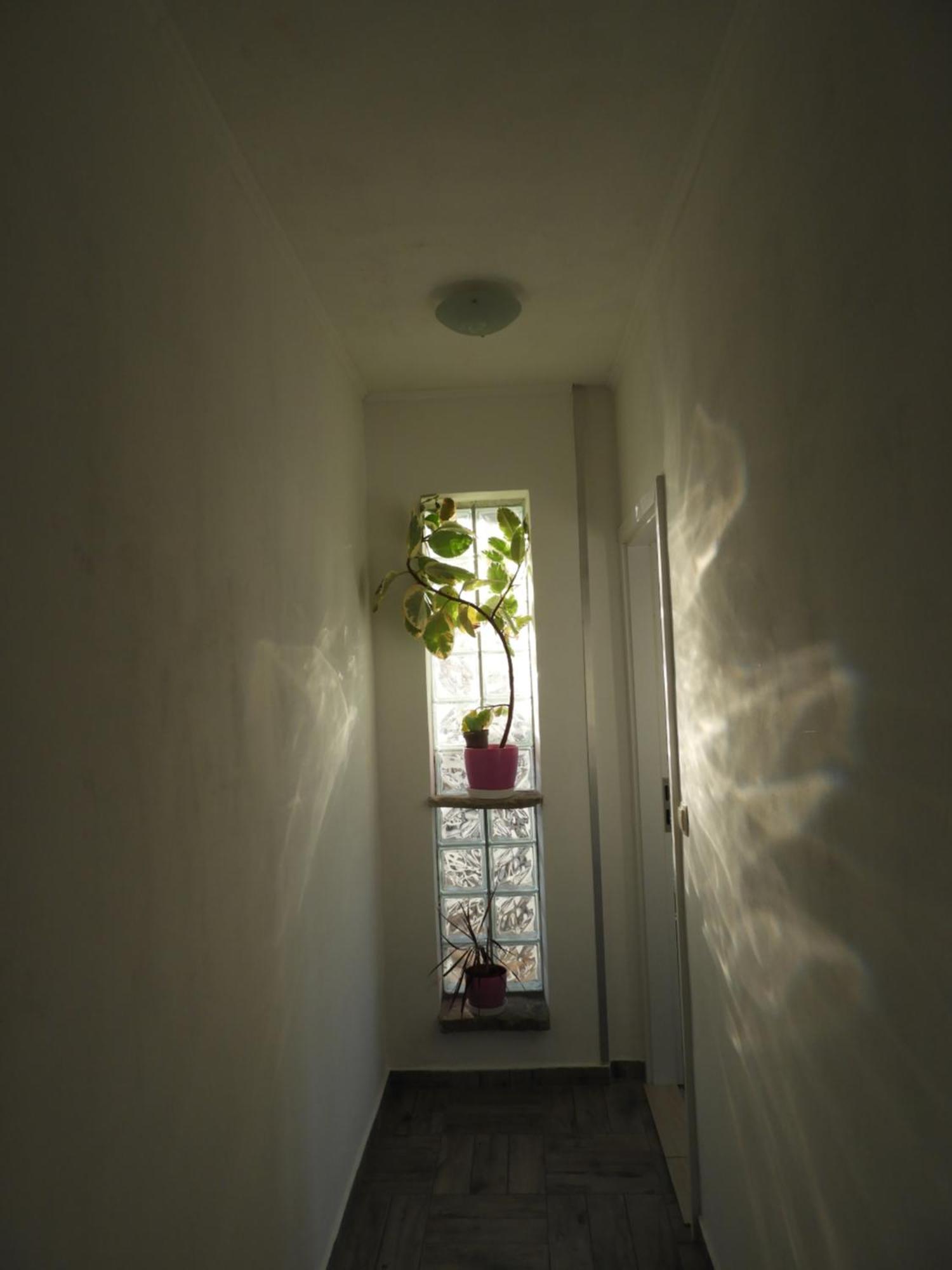Apartman Pobuk Primošten Exterior foto